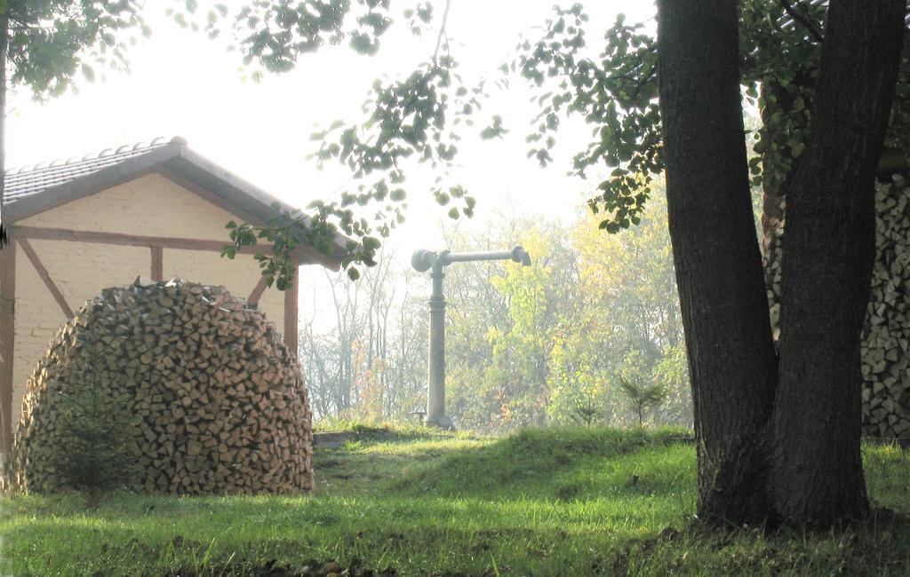 Apartamenty Carskie Białowieża 외부 사진